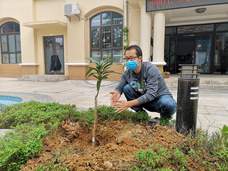 /QJ_409363702653.jpg 種好的樹(shù)木生機(jī)盎然_副本.jpg